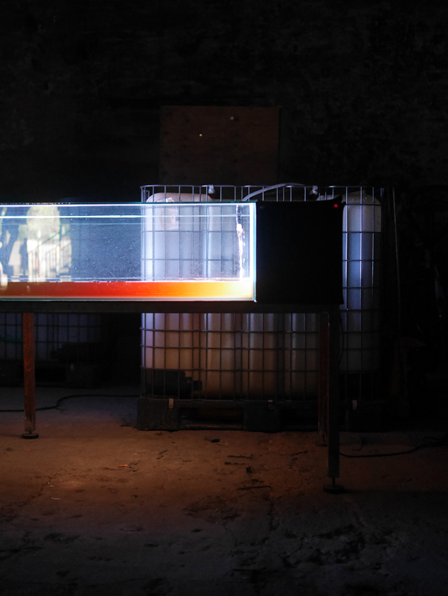 Sarah-Schönfeld_Lamp